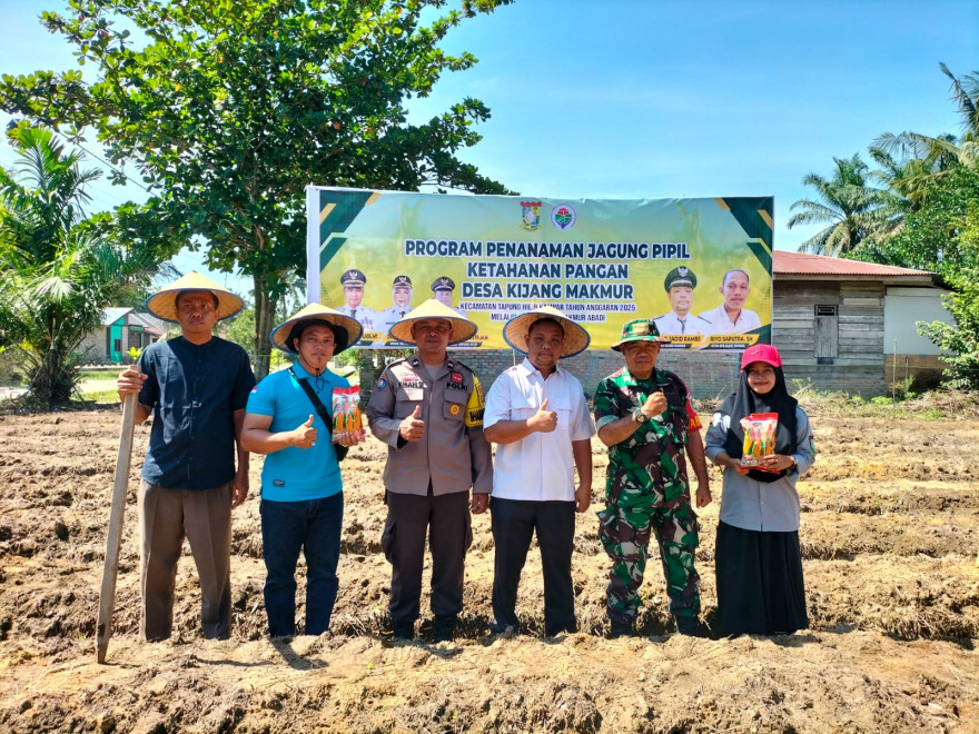 BUMDes Kijang Makmur Tanam Jagung Pipil Dukung Program Ketahanan Pangan